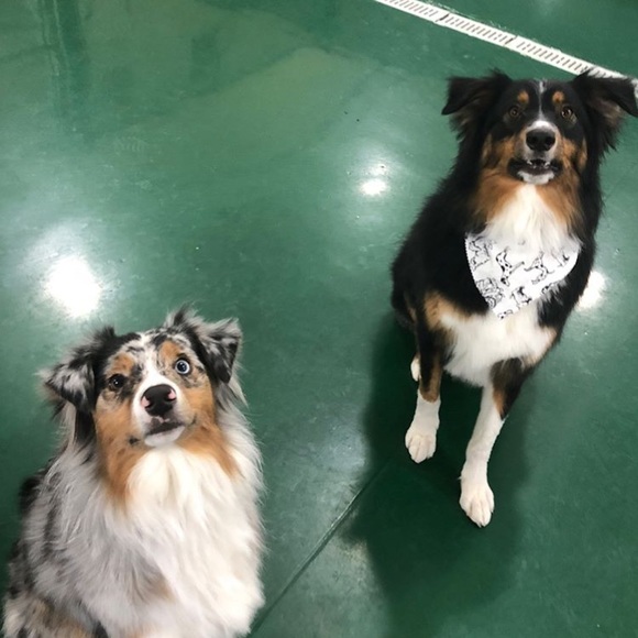 Meet your Posher, Kelly - Picture 1 of 1